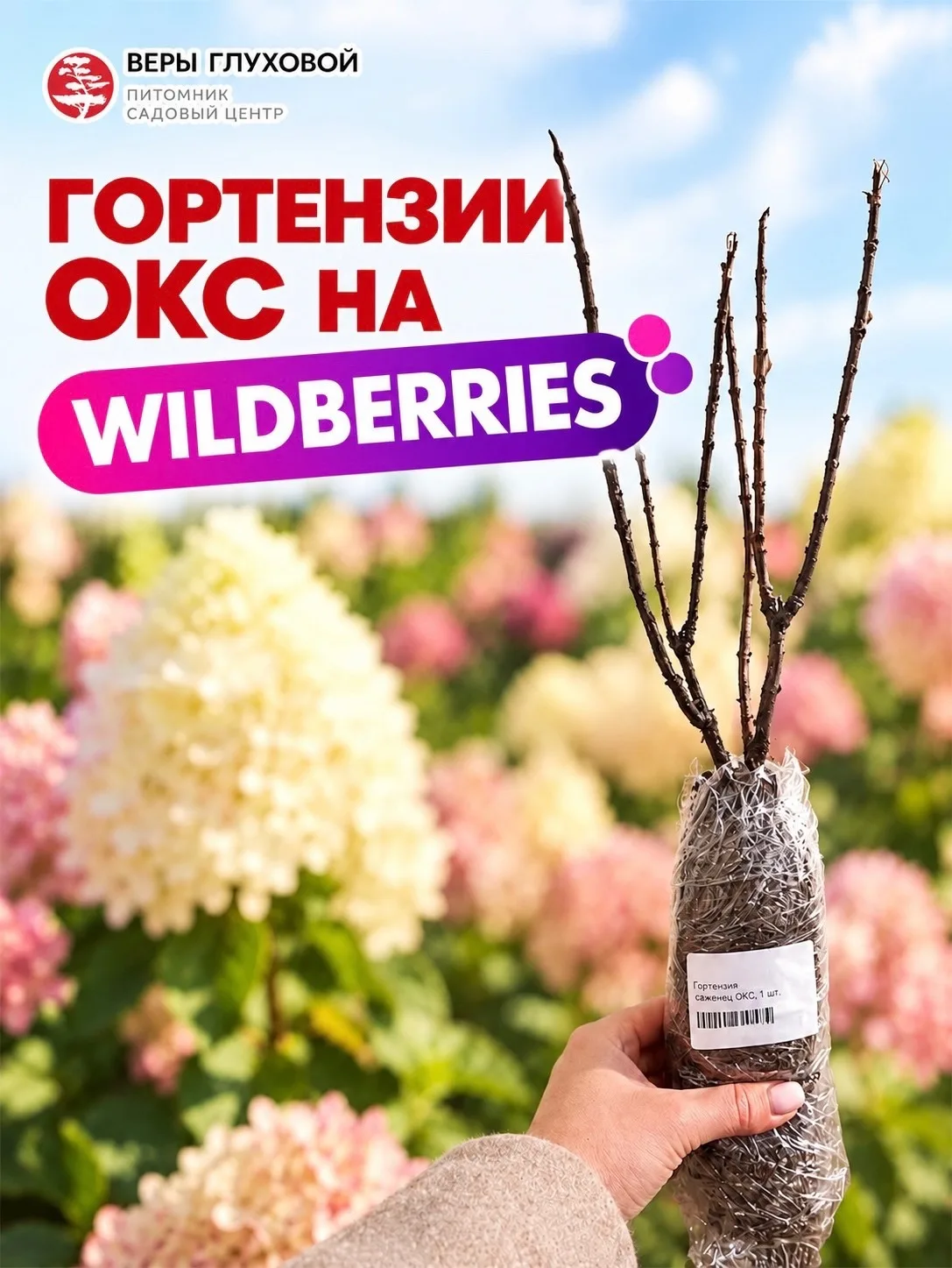 СТАРТ ПРОДАЖИ ГОРТЕНЗИЙ ОКС НА WILDBERRIES! 💜🎉