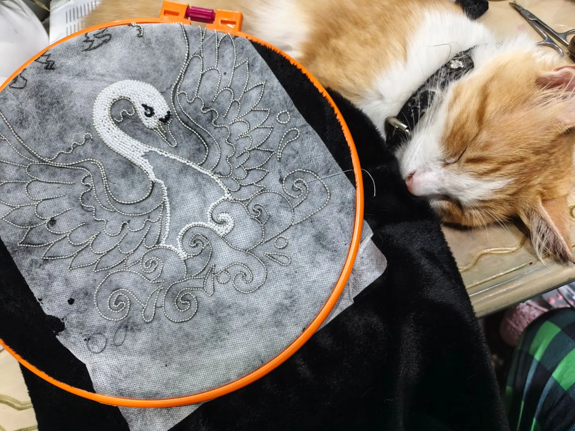 Самый главный вредитель рукодельниц, это кот! 😻 То нитки размотает,то бисер просыпет😄