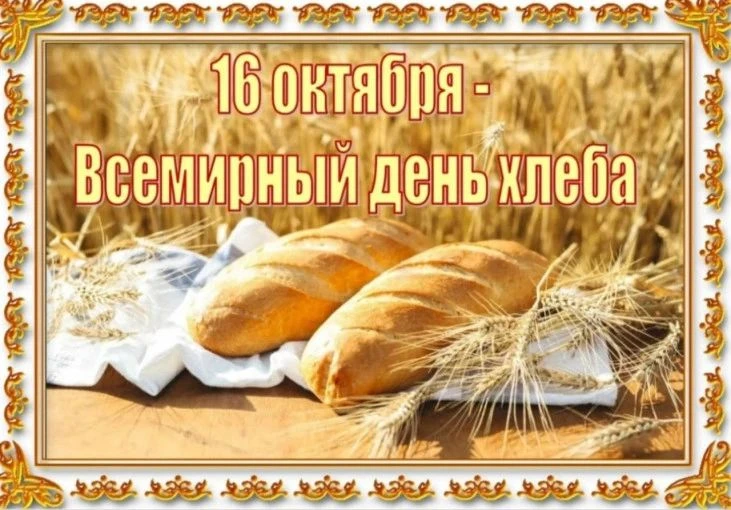 🌾 «День хлеба» в средней группе №2: путешествие от зёрнышка до ломтика 🍞