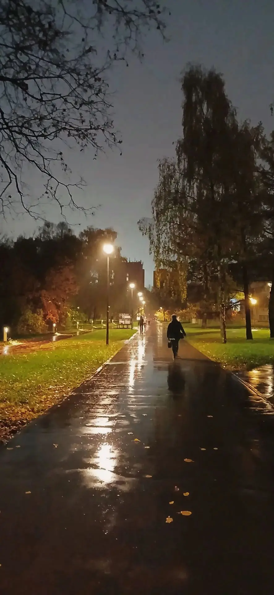 "После дождя. Не Шишкин".