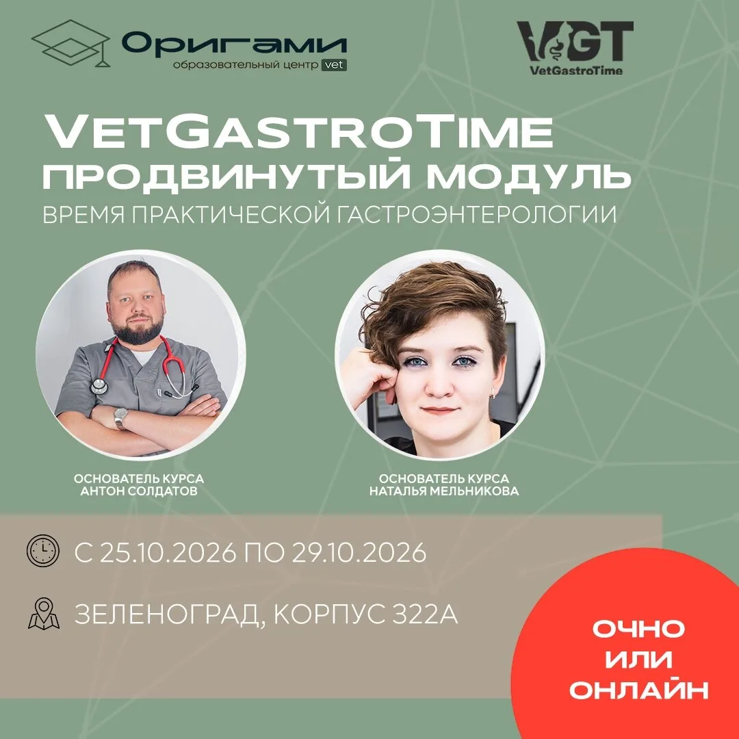 Курс по гастроэнтерологии для ветеринарных врачей