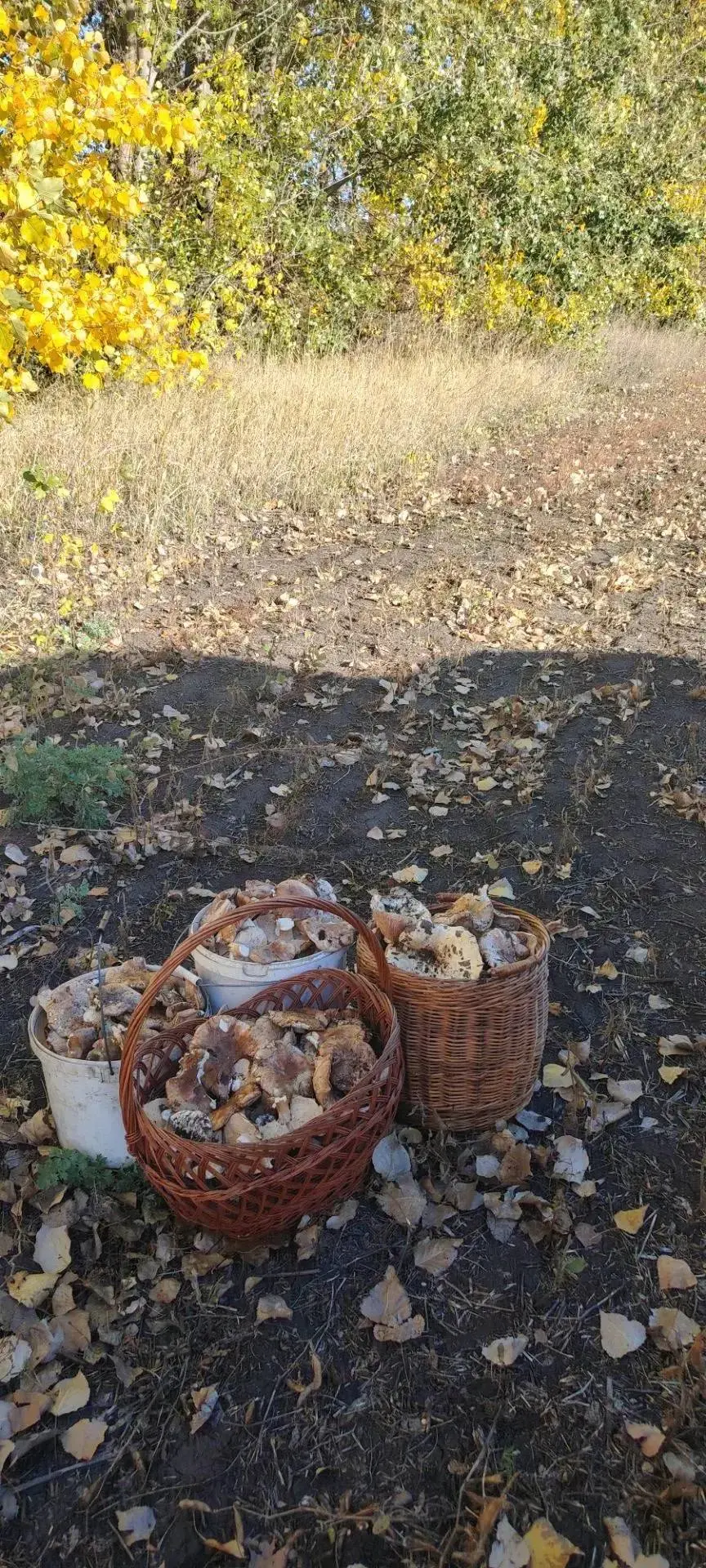 Охота удалась 🤗