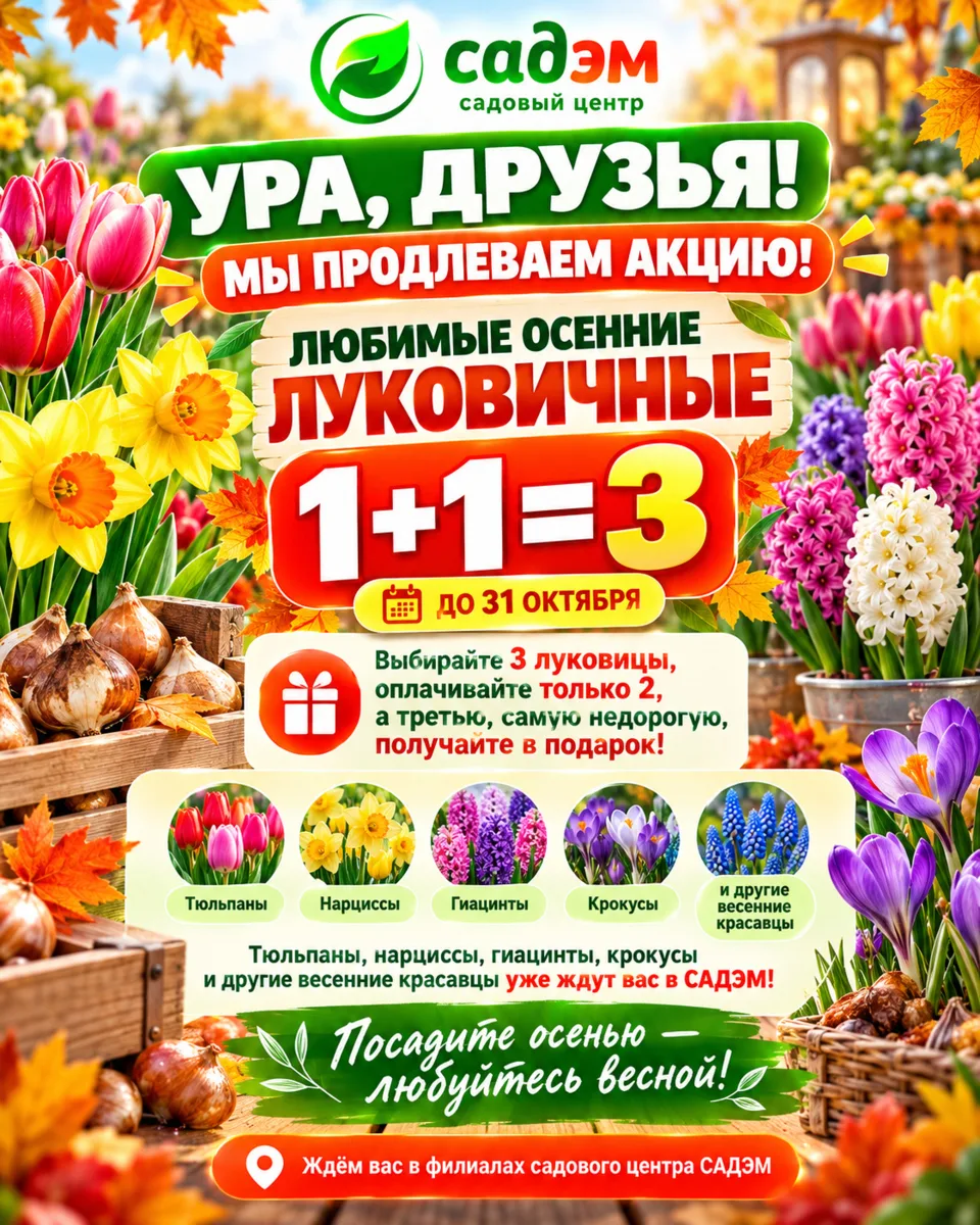 🌷 УРА, ДРУЗЬЯ — АКЦИЯ ПРОДЛЕНА!