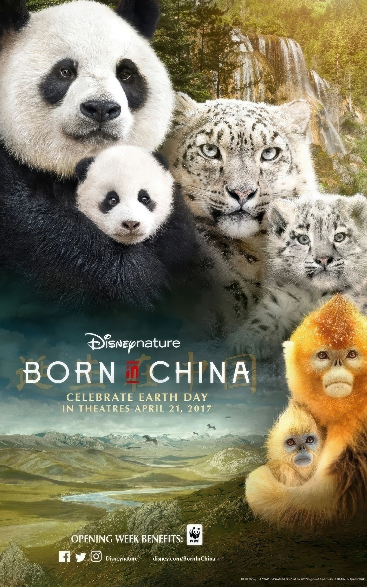 Рождённые в Китае🐼