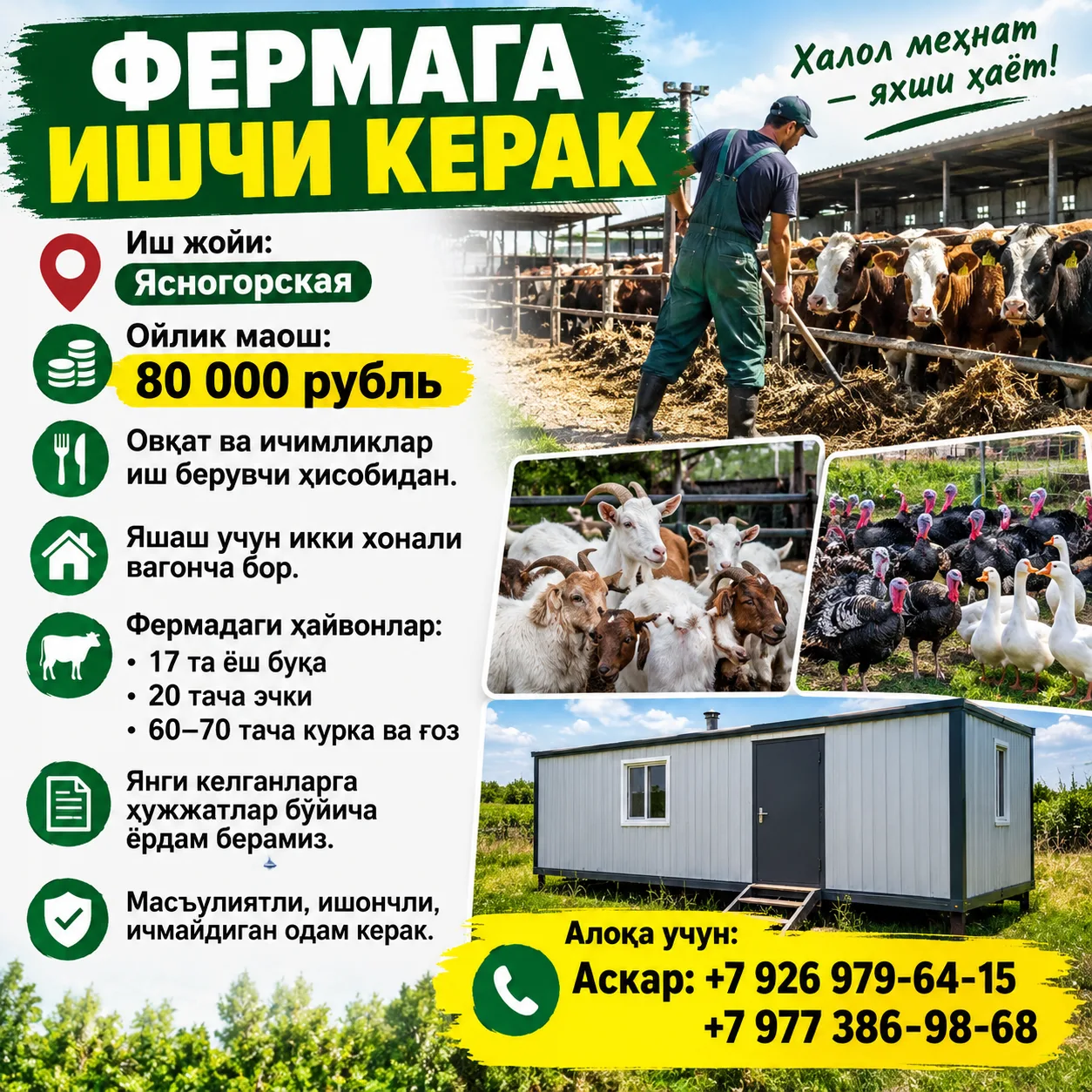 🐄 ФЕРМАГА ИШЧИ КЕРАК