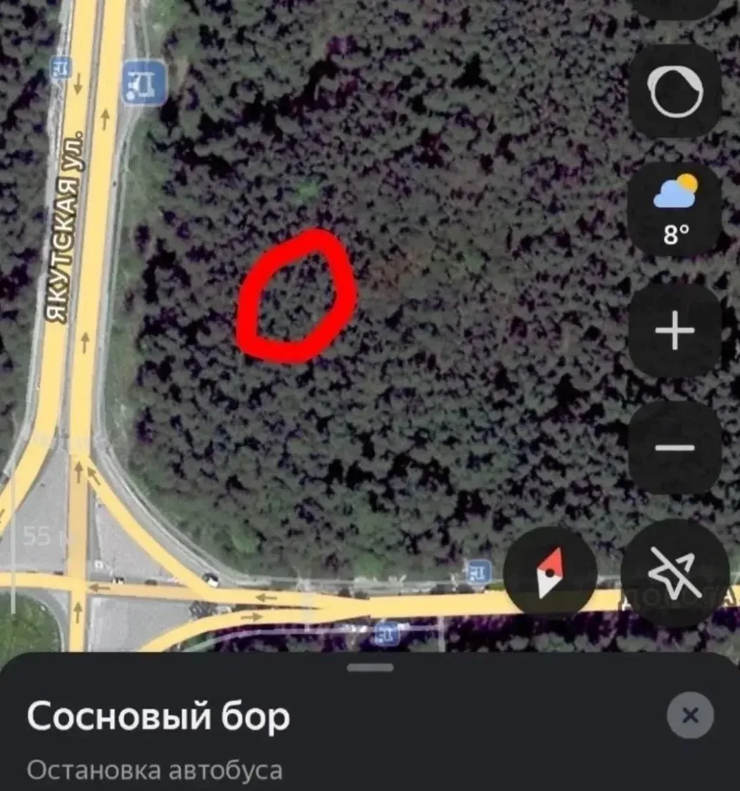 🚨 В Перми неизвестный мужчина попытался силой увести девушку в лес возле остановки «Со...