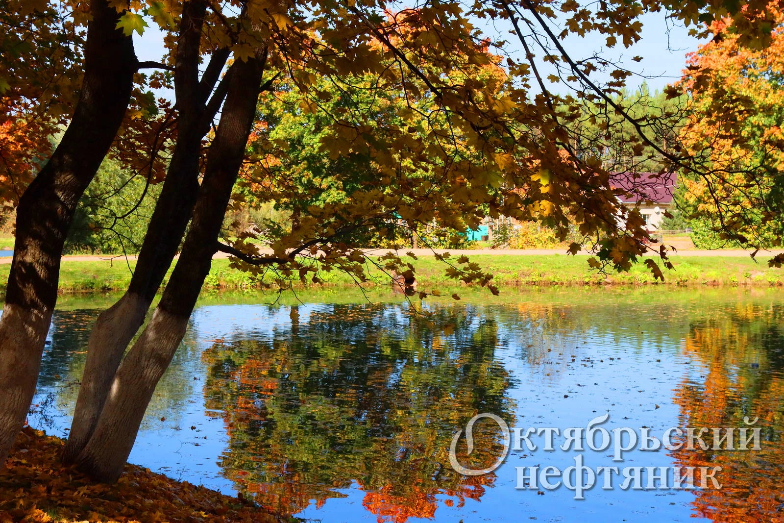 ✨ Жителей Октябрьского ждут трёхдневные выходные