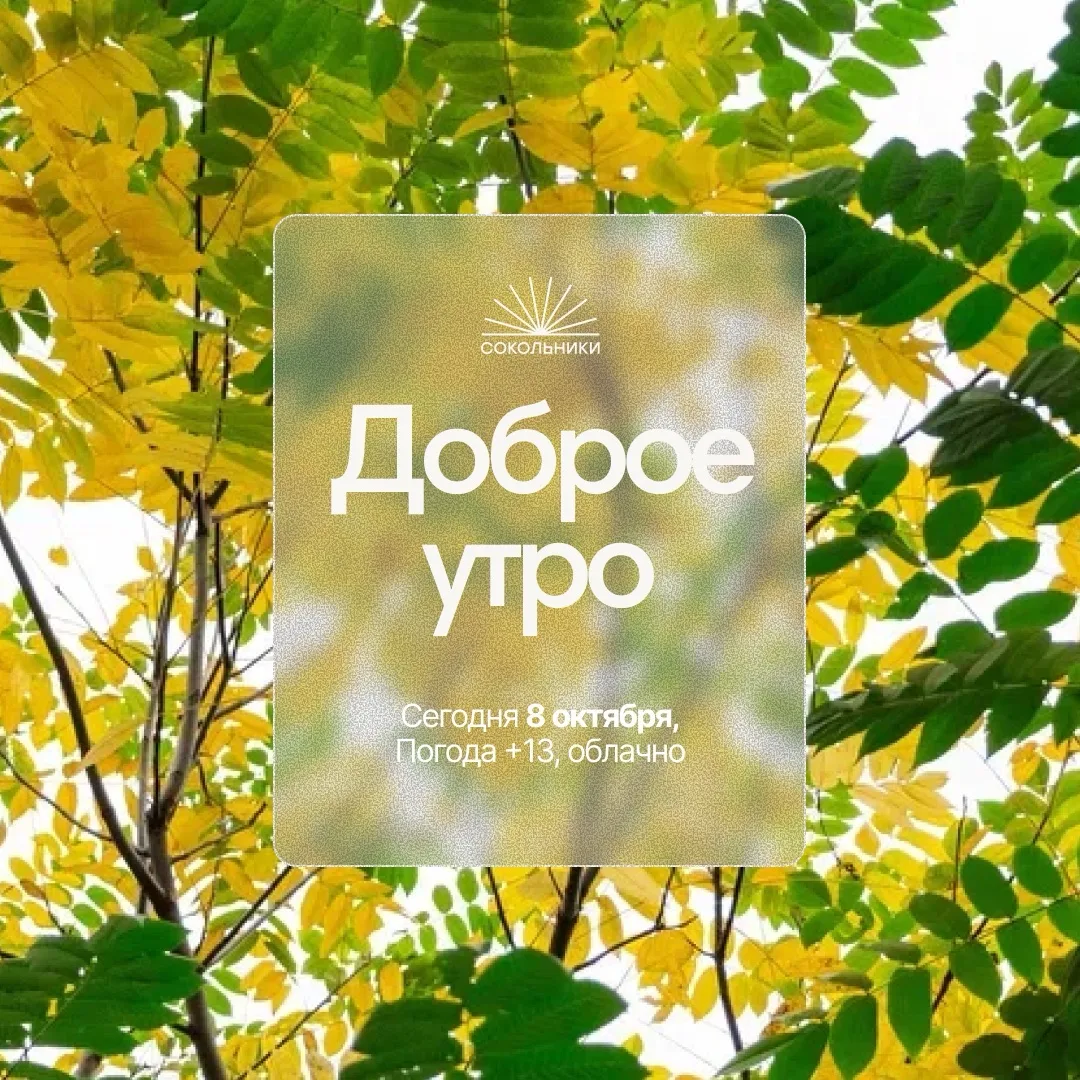 Доброе утро!