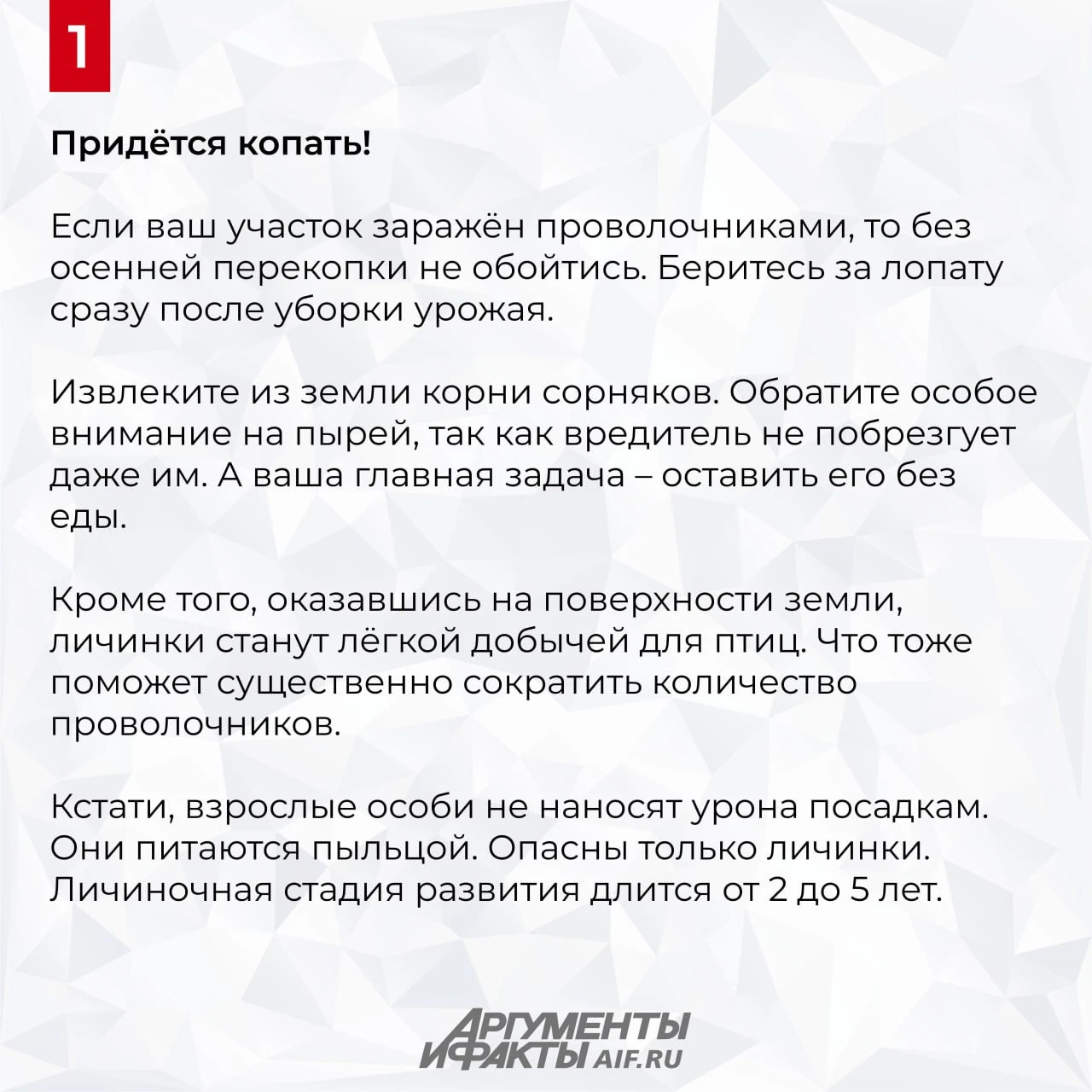 Как избавиться от проволочника