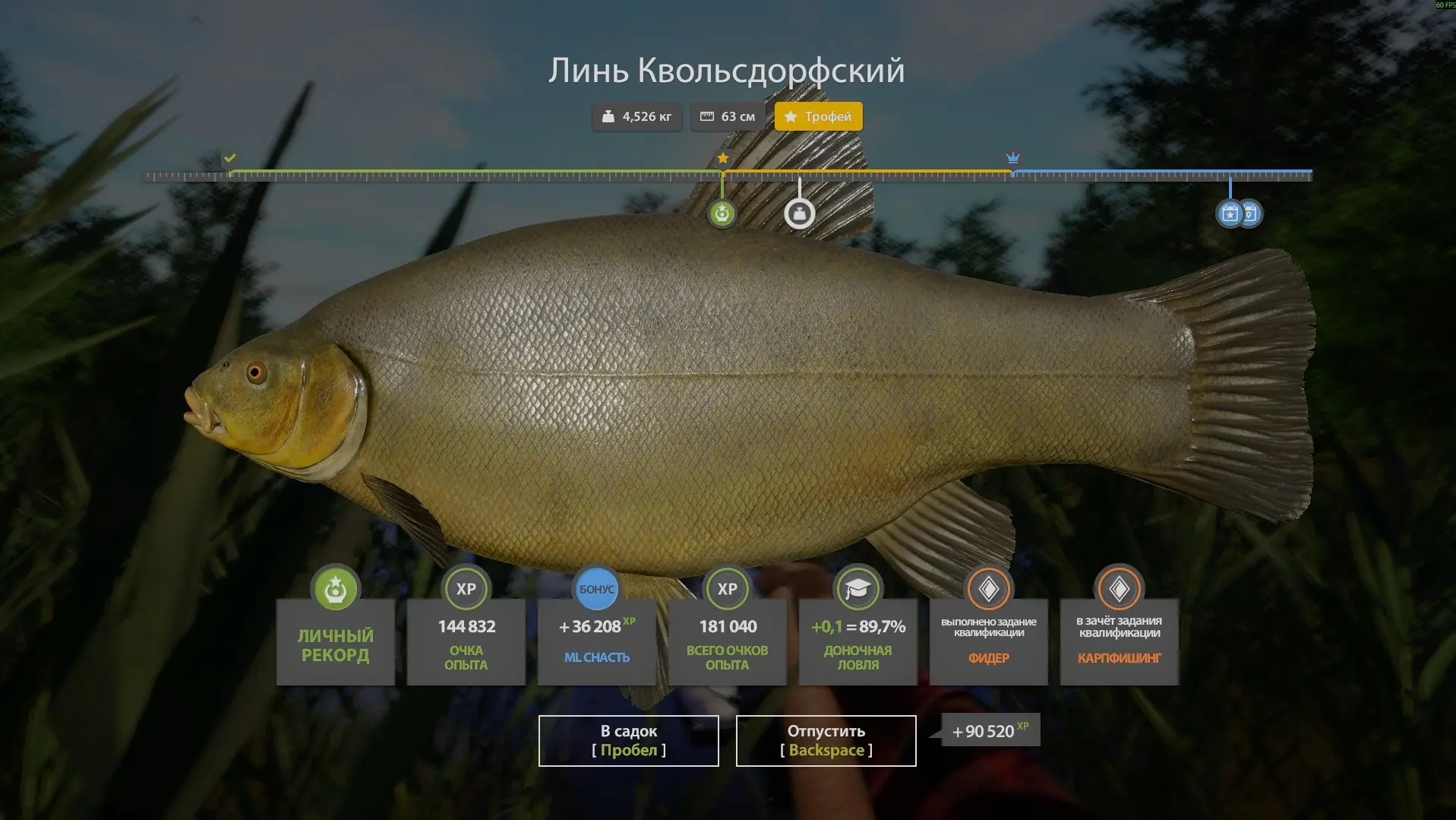 #медное