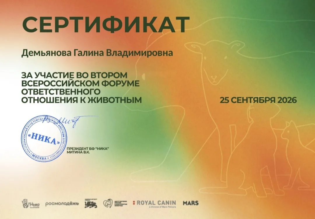 Не выдержала до завтра, решила похвастаться  сразу как пришёл сертификат об участии.......