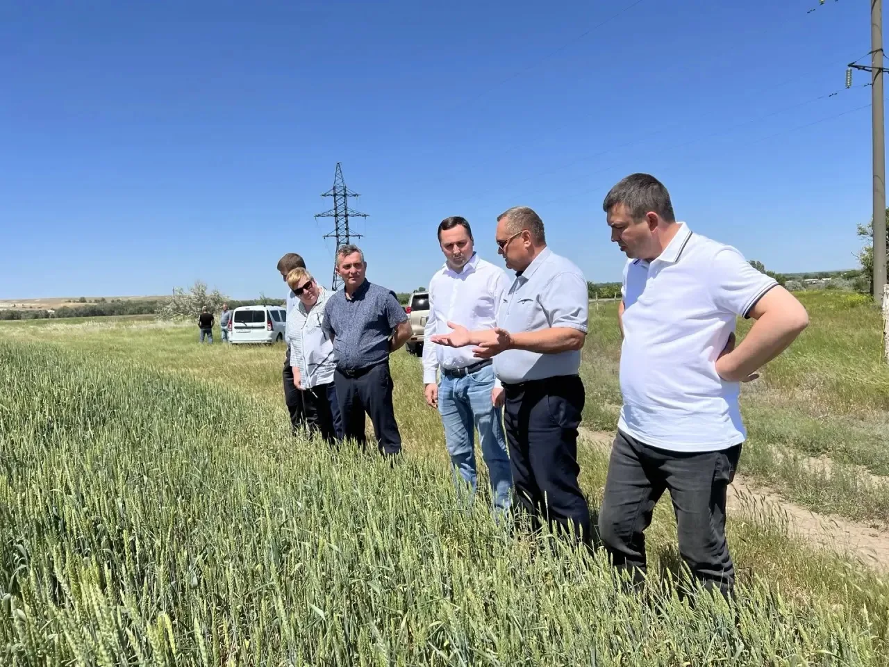🌾 С Днём работника сельского хозяйства и перерабатывающей промышленности!
