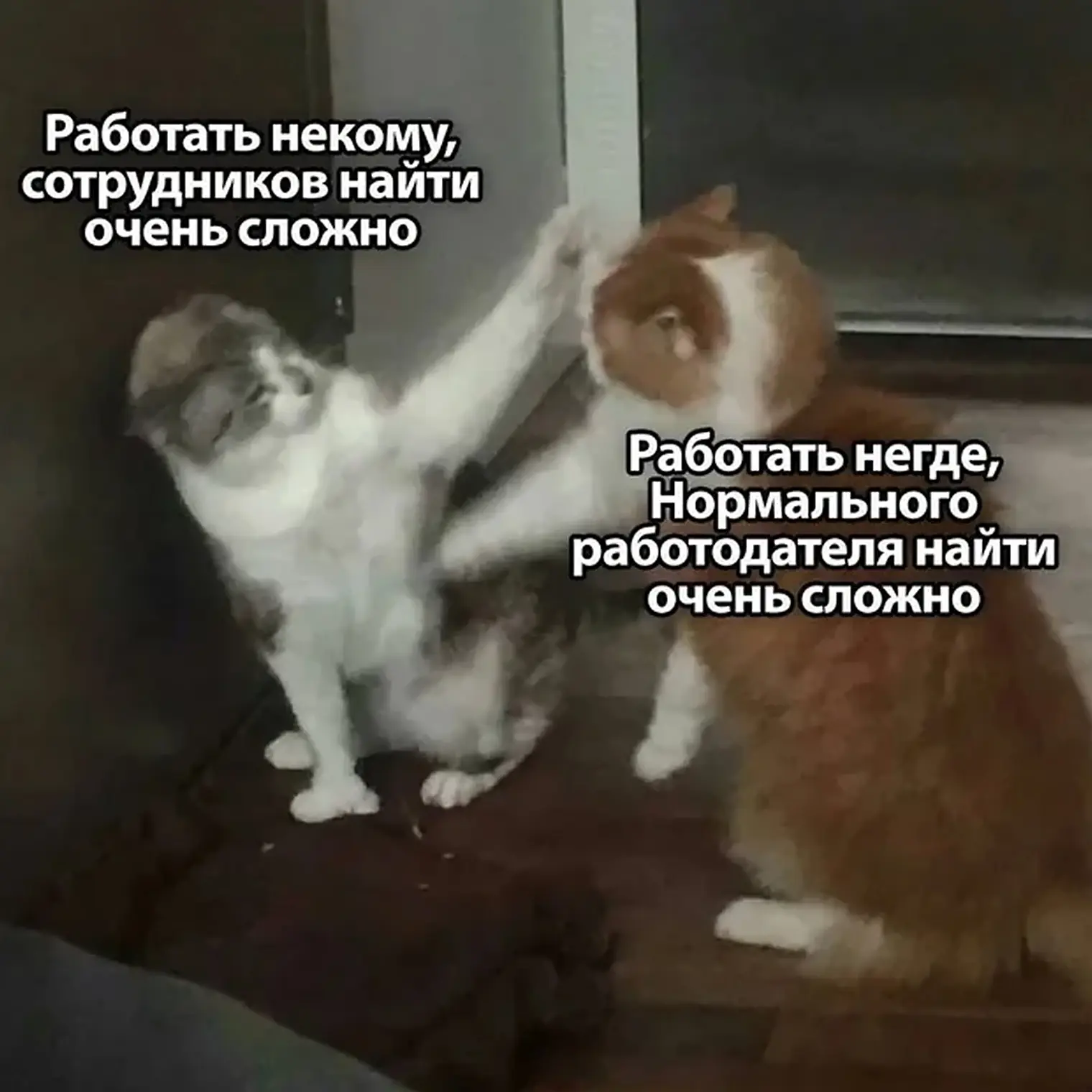 Казань назвали одним из лучших городов для карьеры