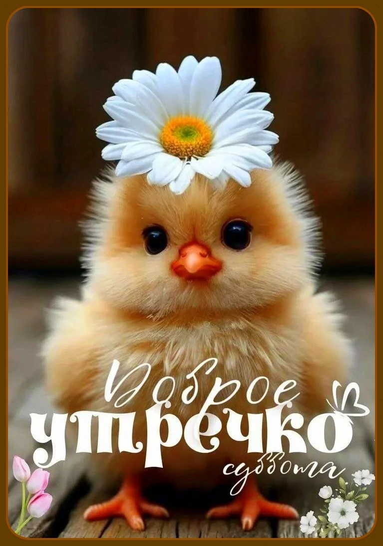 Милые открытки 😊 подписаться