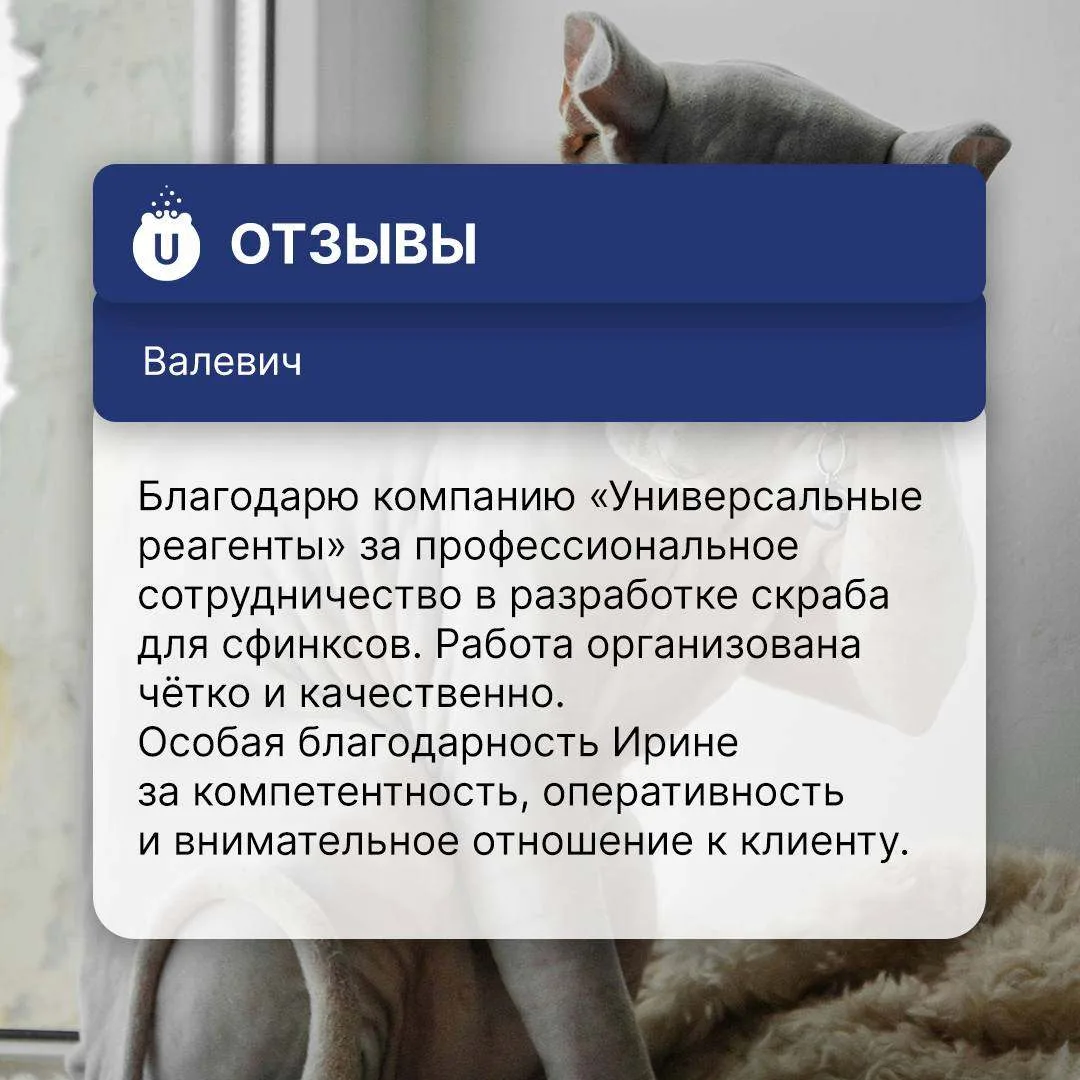 Когда о нашей работе говорят сами клиенты 🤝