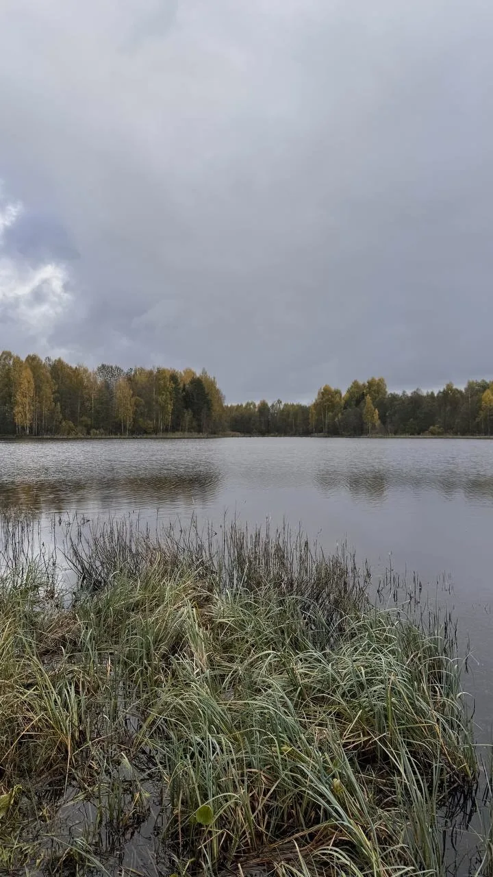 Выходные в деревне 🍂