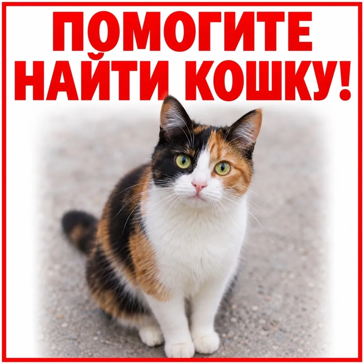 Здравствуйте! Фото - для примера, настоящей фотографии - нет. При перевозке в другой до...
