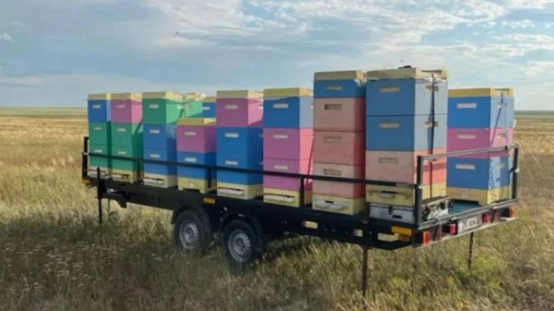 🐝 **Прицеп — не роскошь, а настоящая необходимость для пчеловода!** 🚛