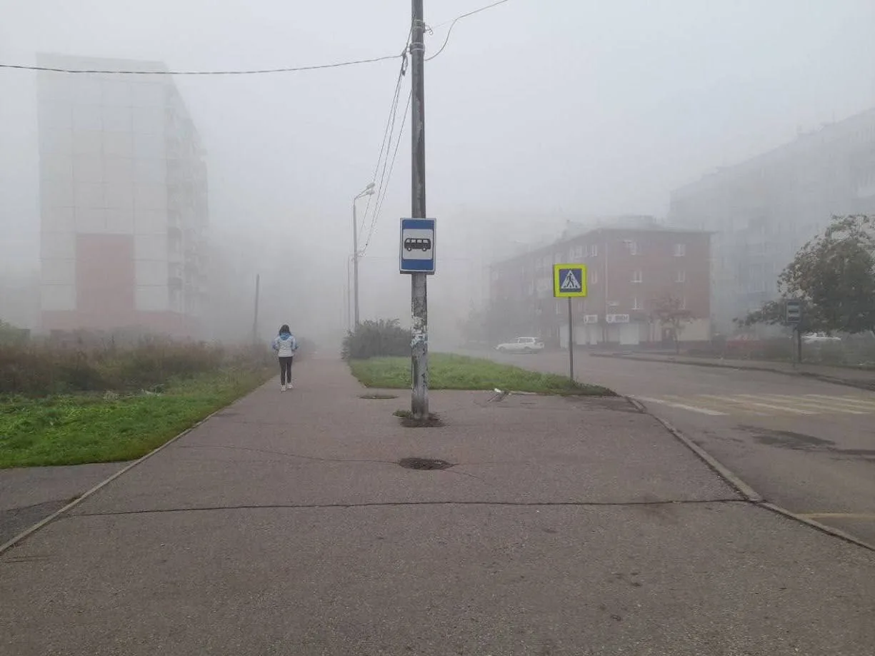 Власти Новокузнецка не согласны с тем, что воздух в городе самый грязный в стране