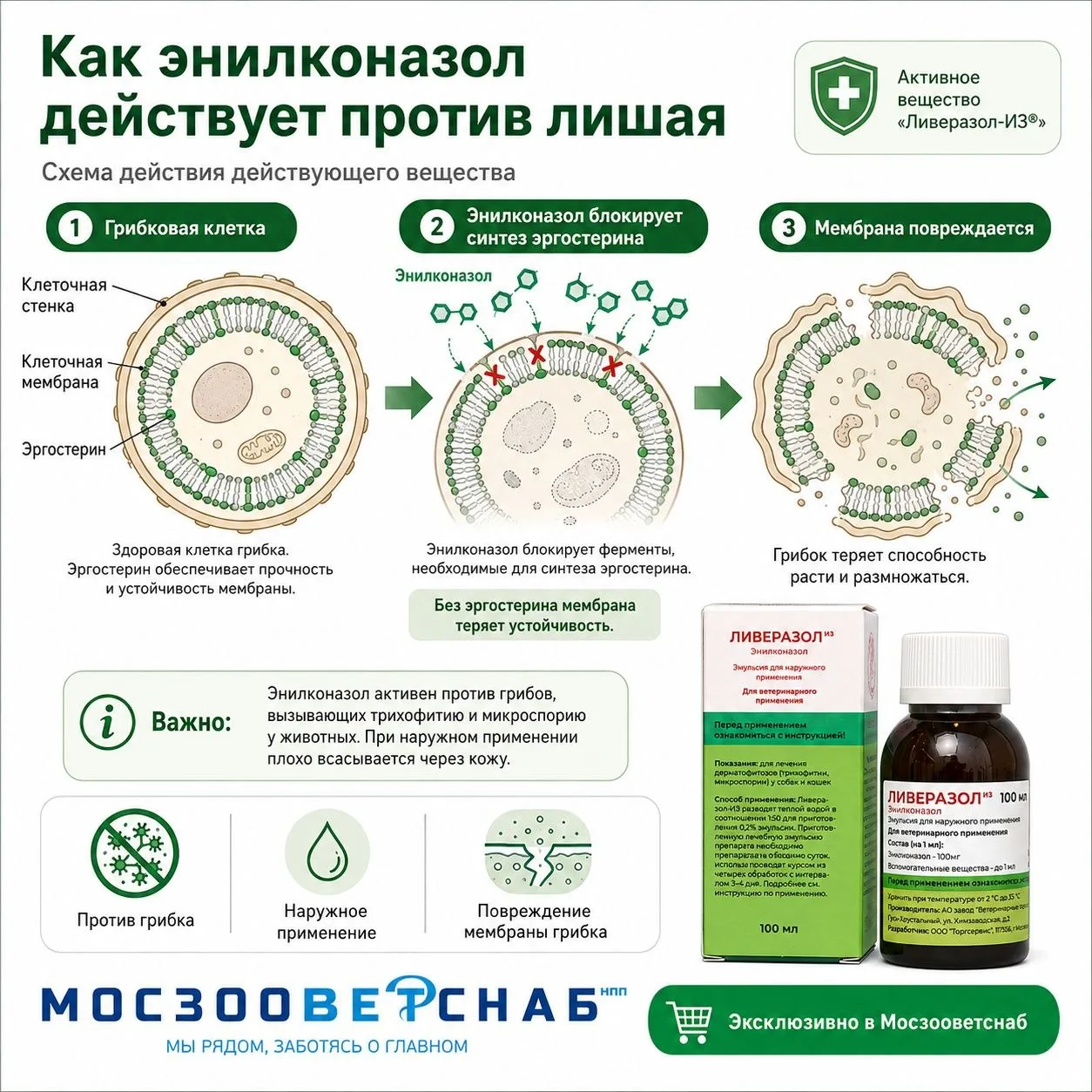 Ливеразол-ИЗ: точечный контроль дерматофитозов у животных