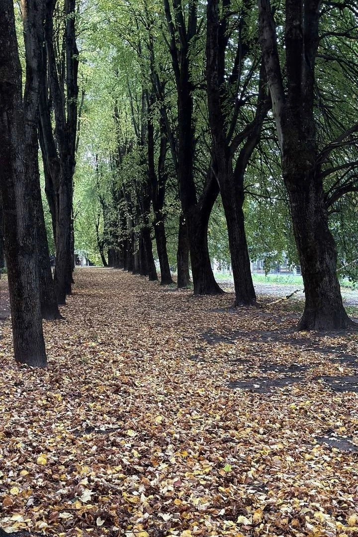 Осенняя хандра сегодня накрыла город