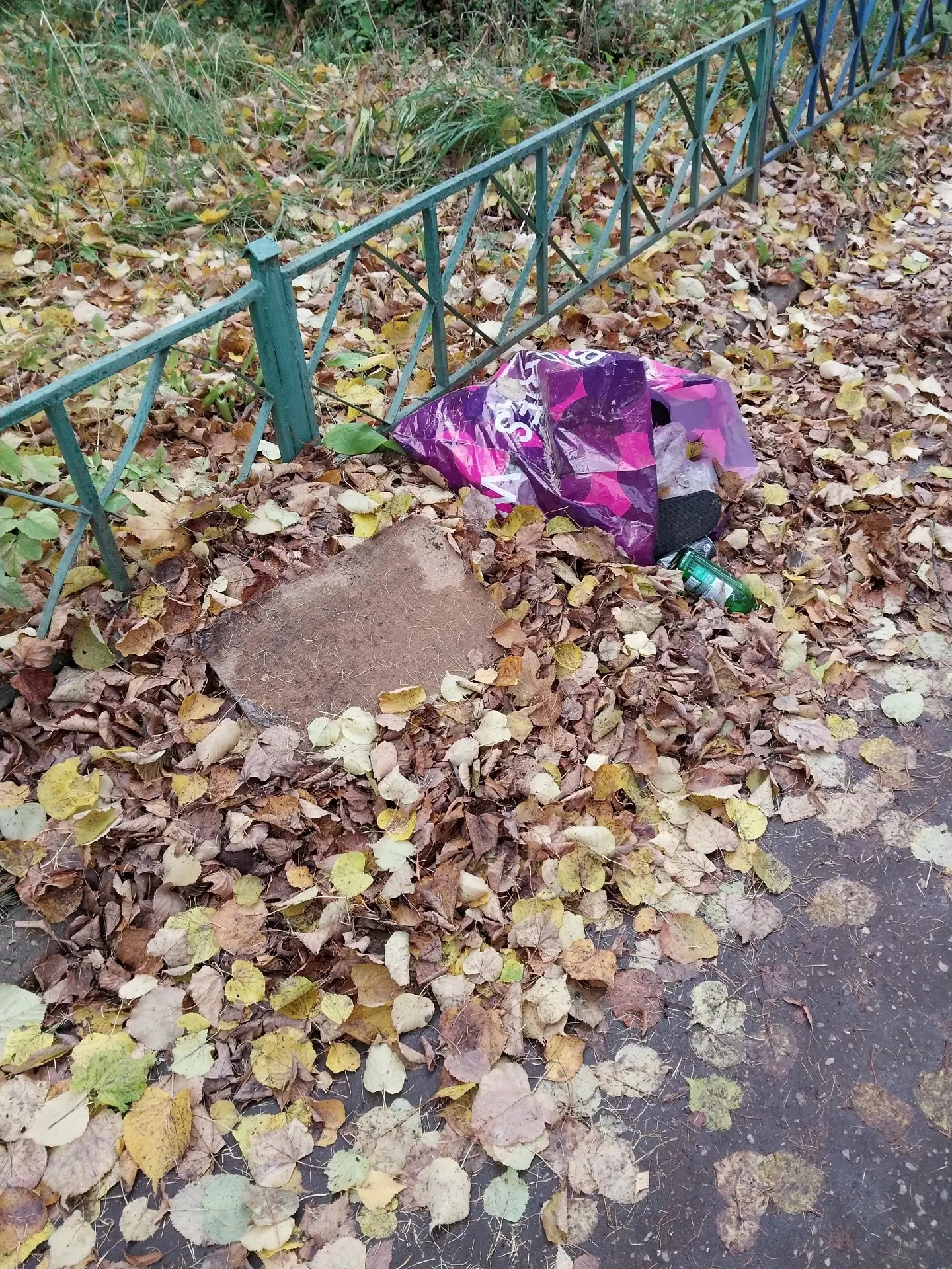Кто насвинячил? У 19 дома лежит уже несколько дней