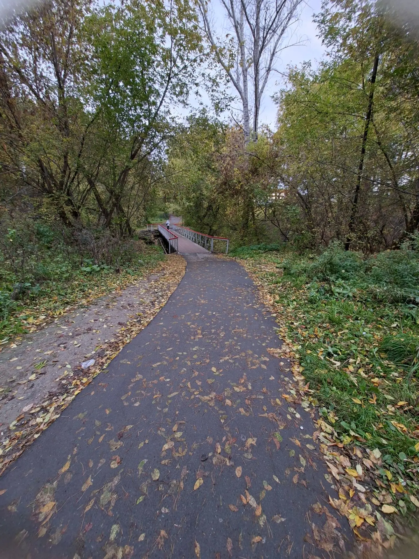 У меня еще такие места есть. Сегодня здесь бегаю😊🏃✅