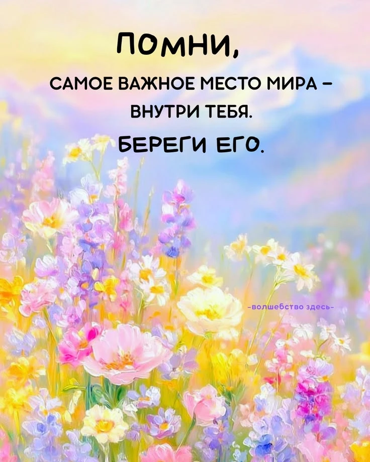 #цитаты