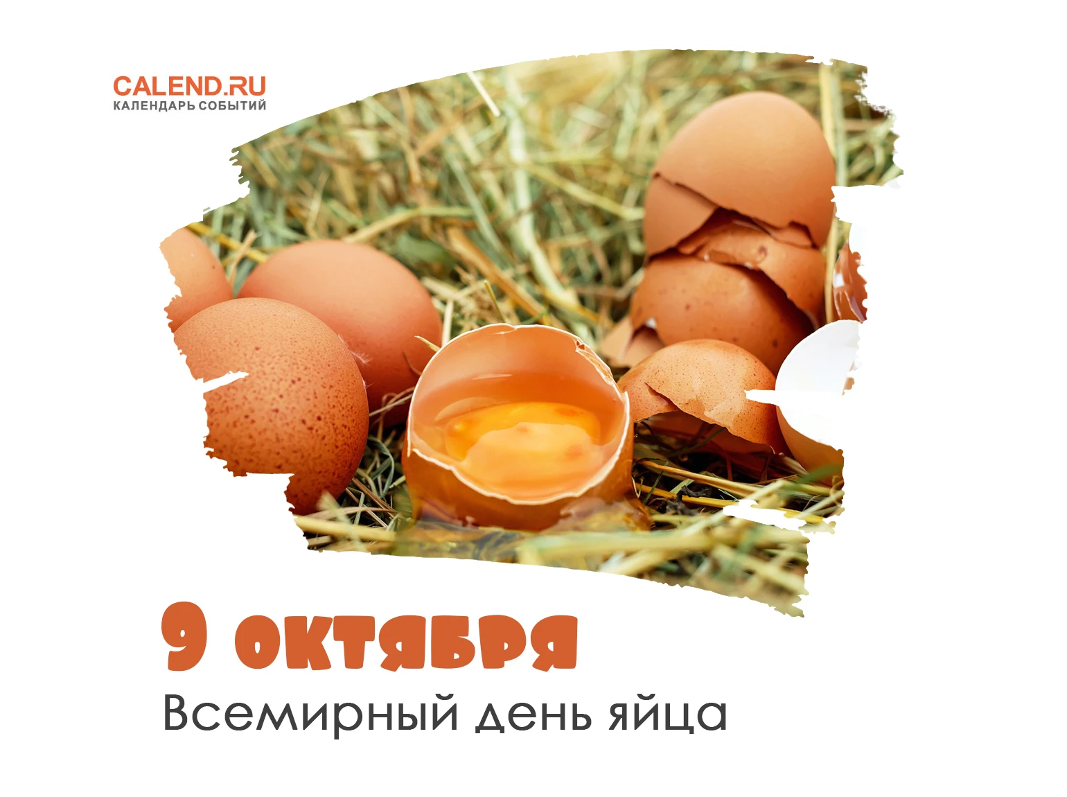 ЧТО ПРИГОТОВИТЬ ИЗ ЯИЦ 🥚🍳 НА ЗАВТРАК?