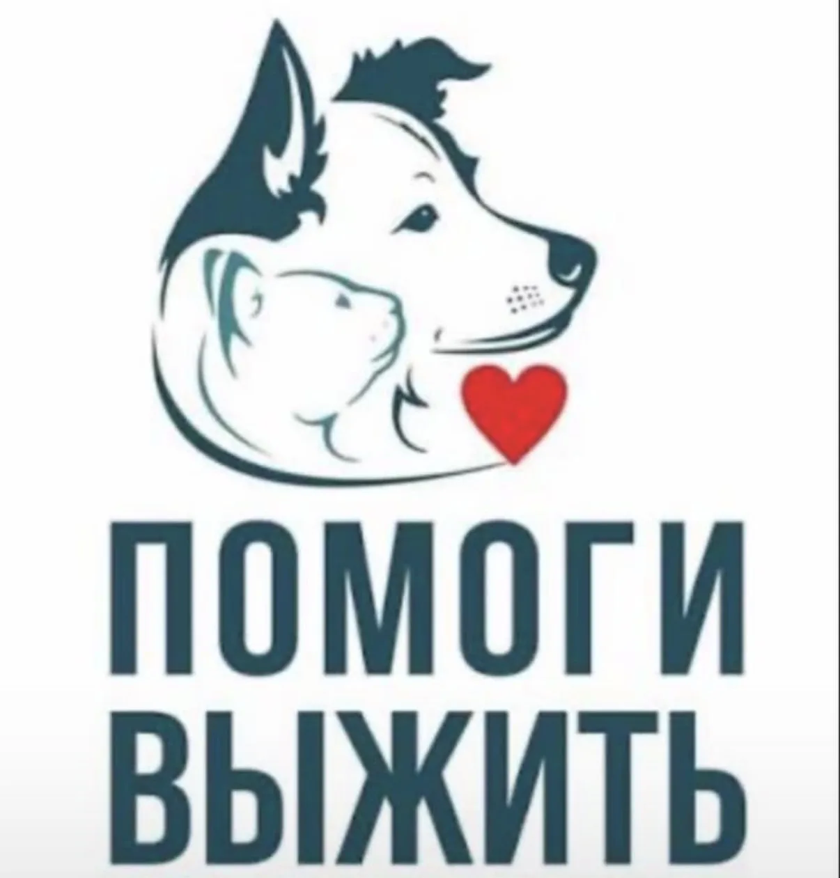 ❗️❗️❗️ Акция «Помоги животным» ❗️❗️❗️