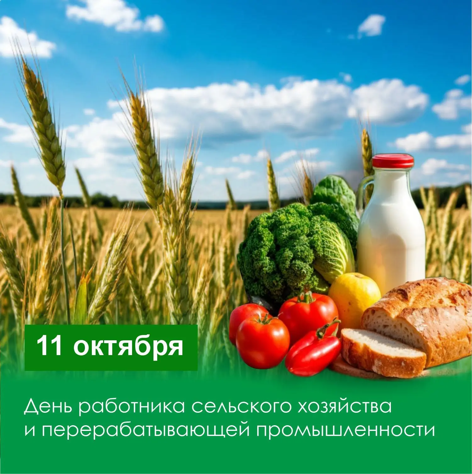 Поздравляем с Днем работника сельского хозяйства🌻🌾
