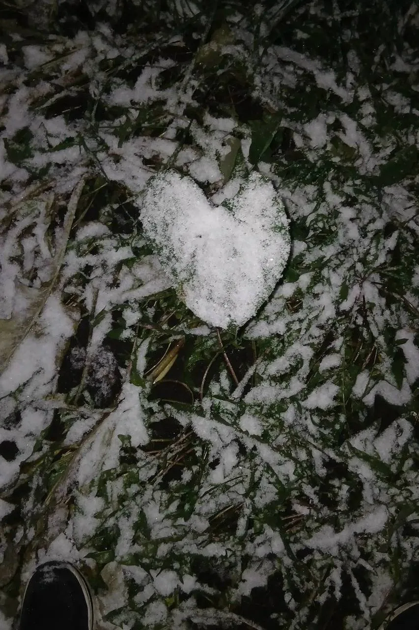 Первый снег добрался и до Белова ❄️