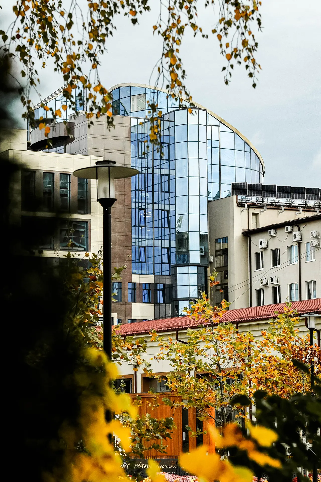 Осень в СтГАУ — особая атмосфера! 🍁