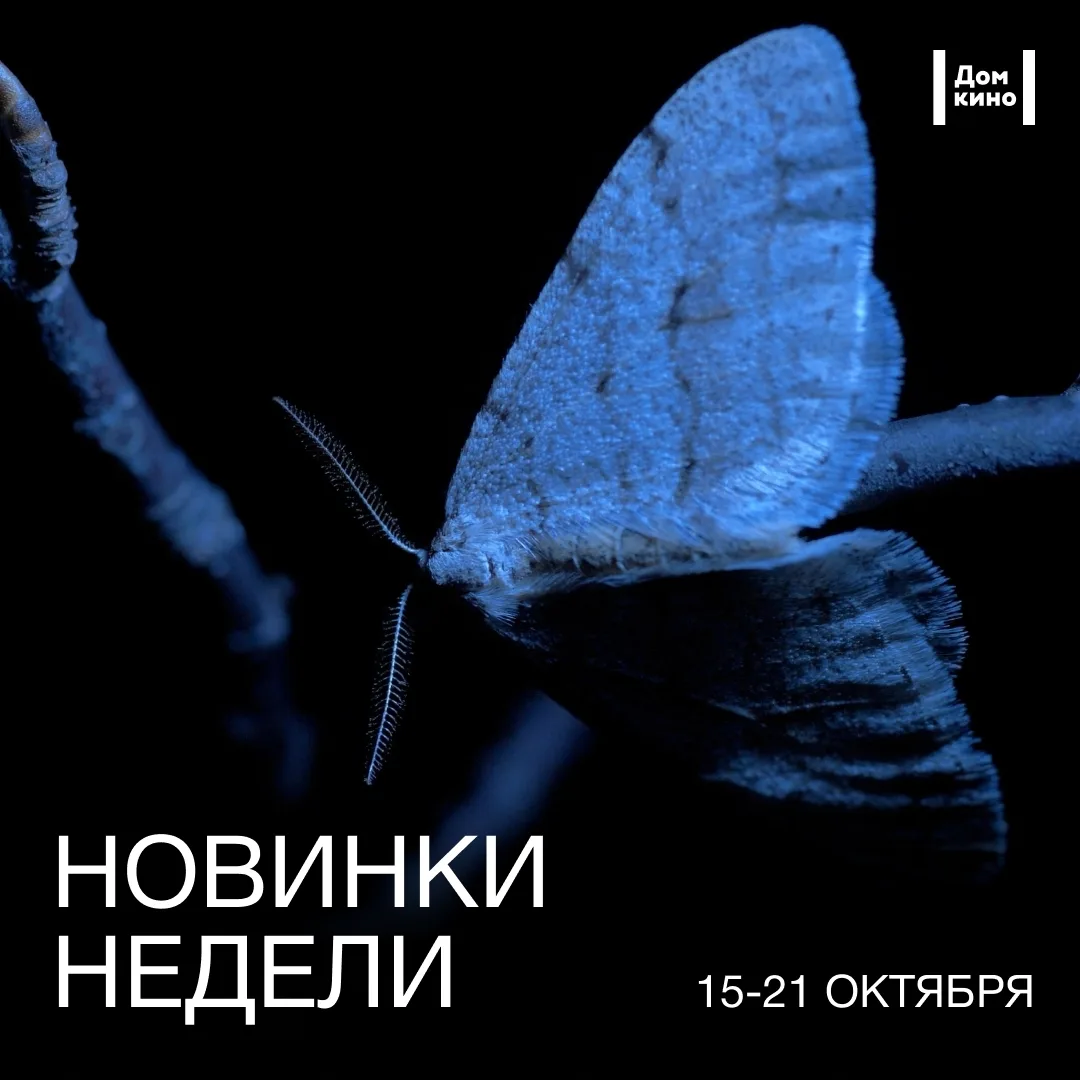 Новинки недели в Доме кино — сеансы, на которые уже можно приобрести билеты: