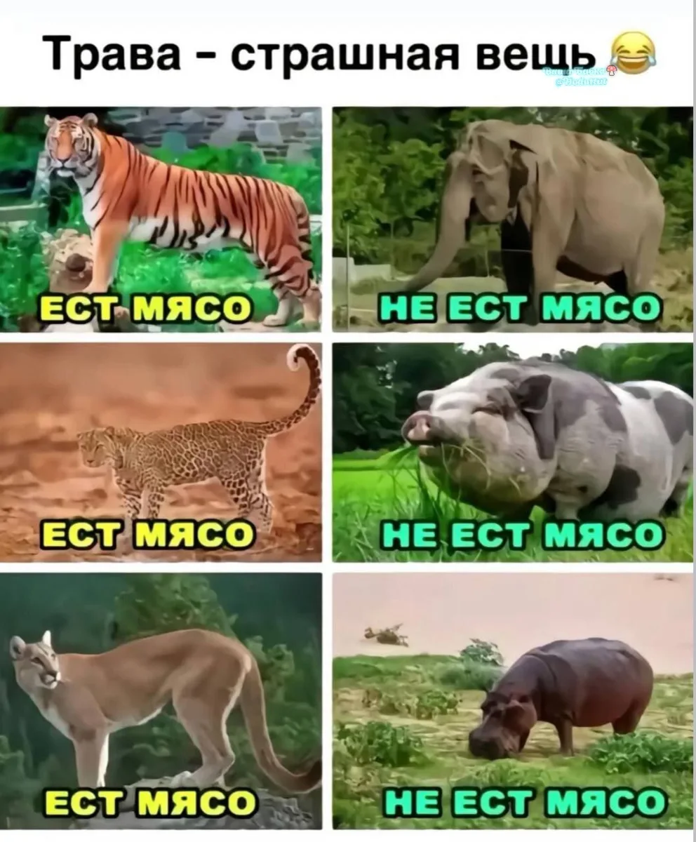 Вона оно чё🙄