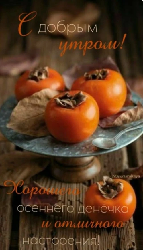 Доброе утро 🍁🍂