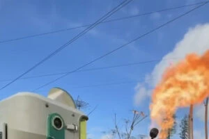Терминатор по-истрински: сыровар вооружил робота Кузьмича огнеметом против борщевика