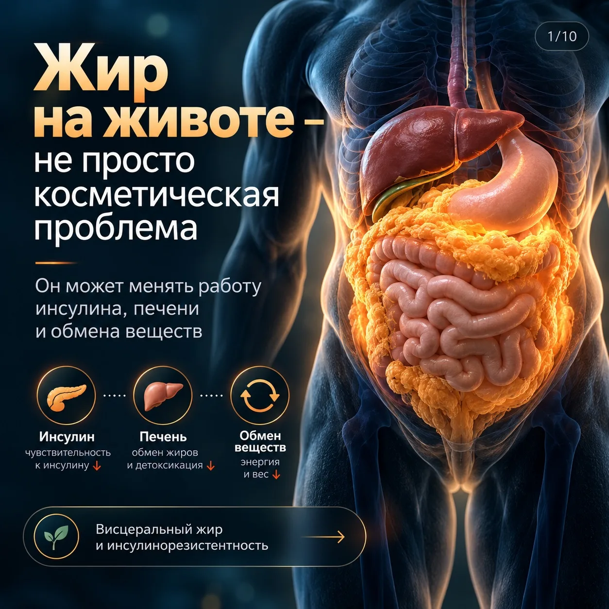 «У вас может быть нормальный вес — и слишком много висцерального жира»