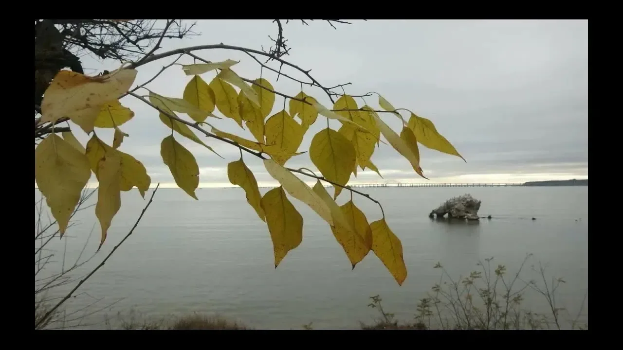 Осень 🍂