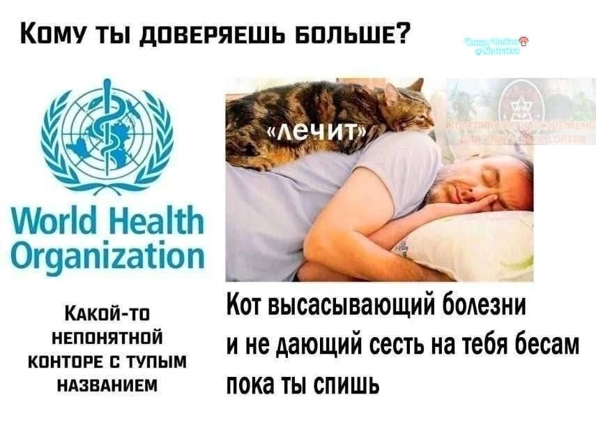 Дурацкий вопрос! Конечно же котику🤗