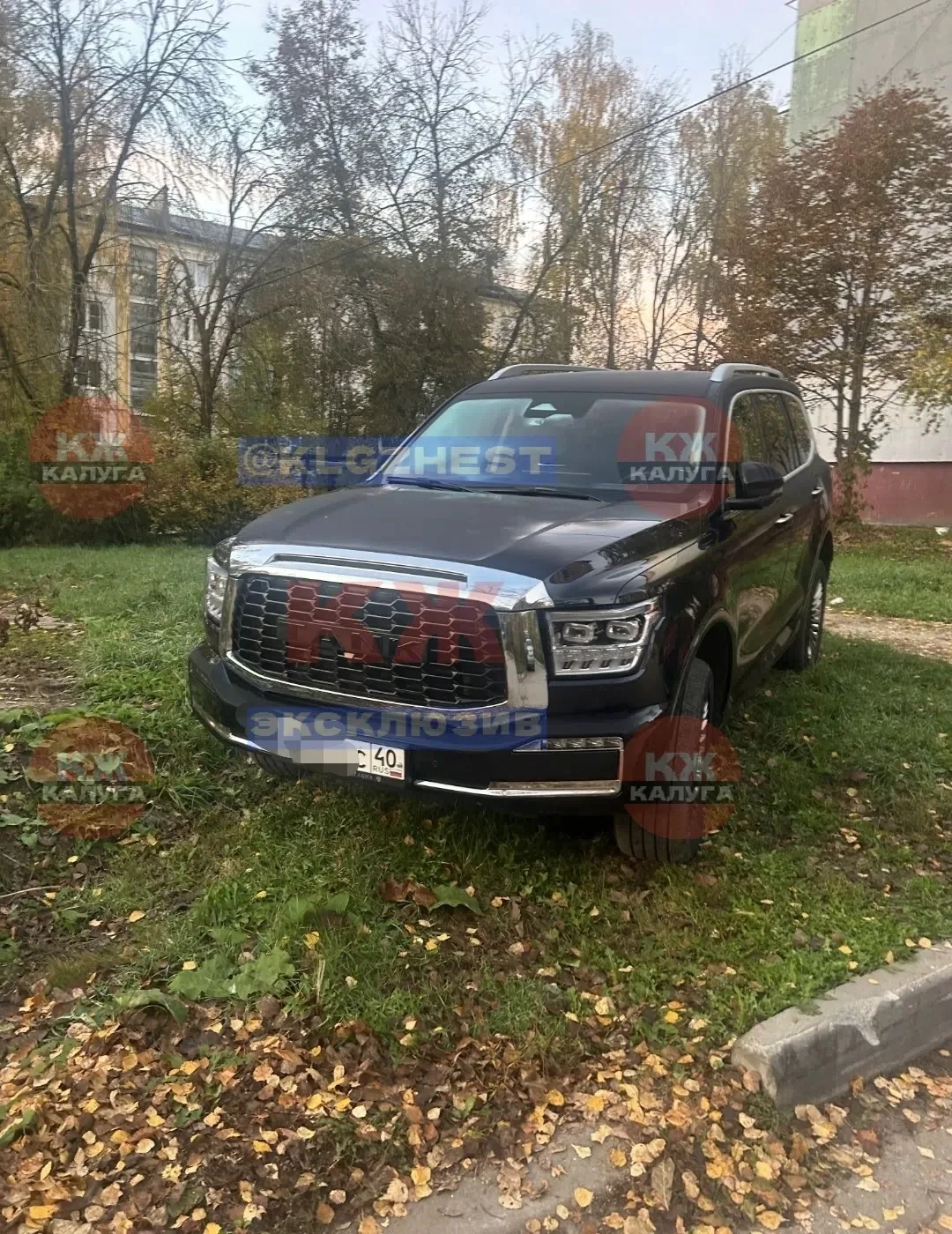 На Чехова 11 постоянно ставит свой авто на зеленую зону!весь газон подавил.