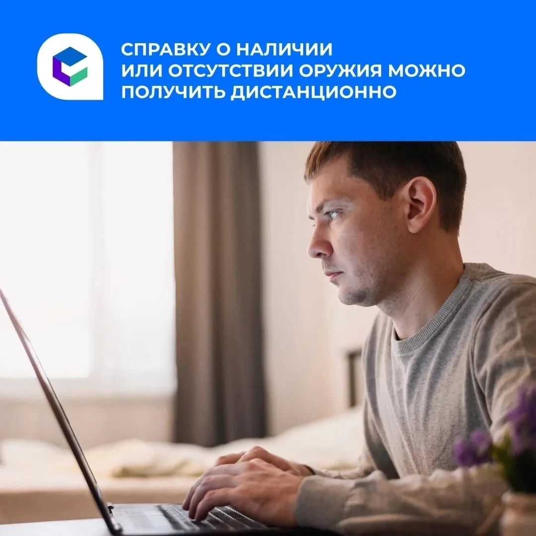 Справку о наличии или отсутствии оружия можно получить дистанционно.