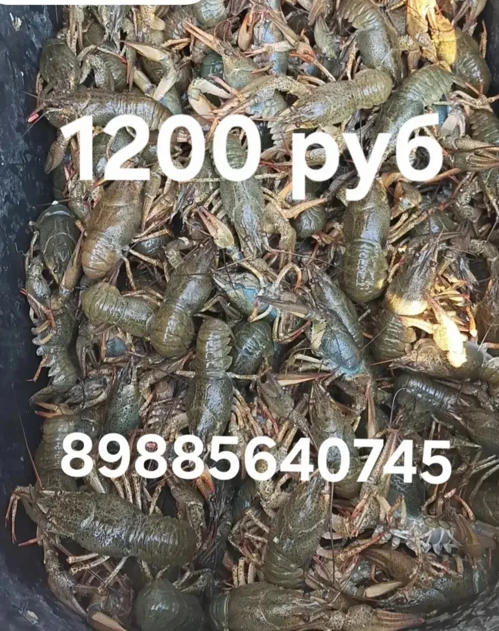 89885640745