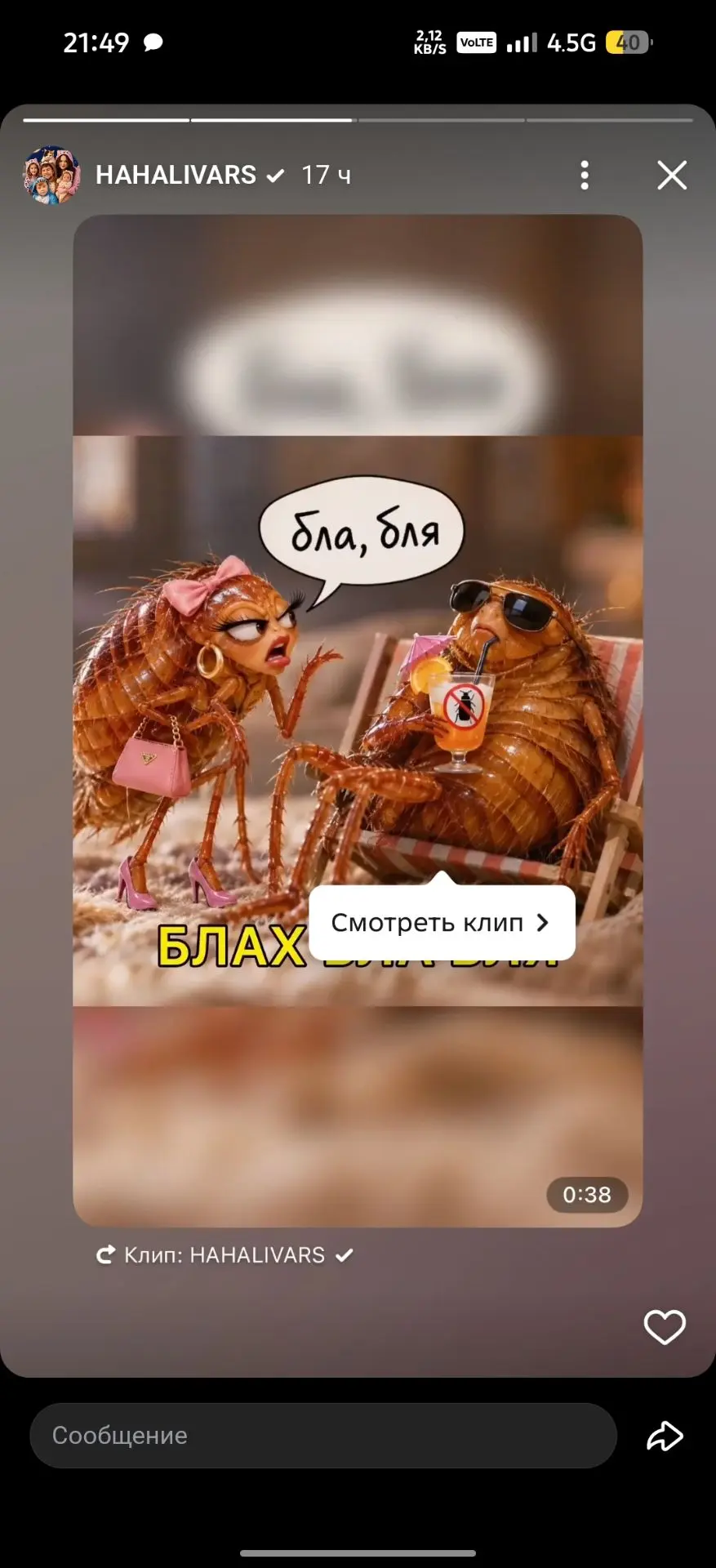 Вторые звериные половинки 🤣