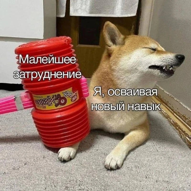 #мемыдня