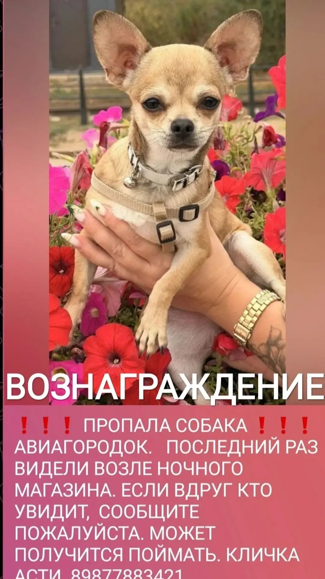 Тел 89877883421