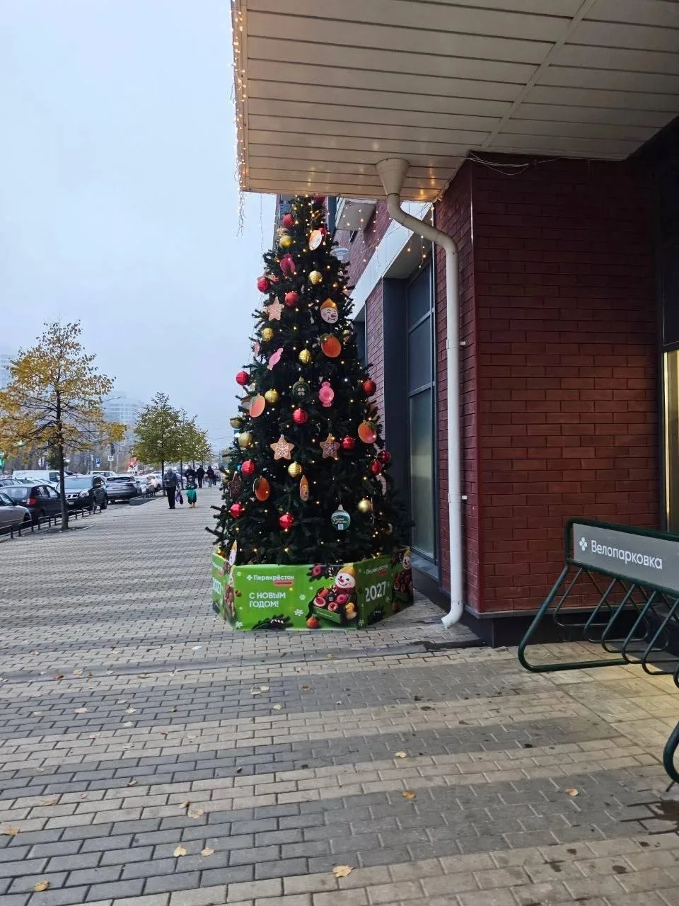 🎄В центре Екатеринбурга уже установили первую ёлку.