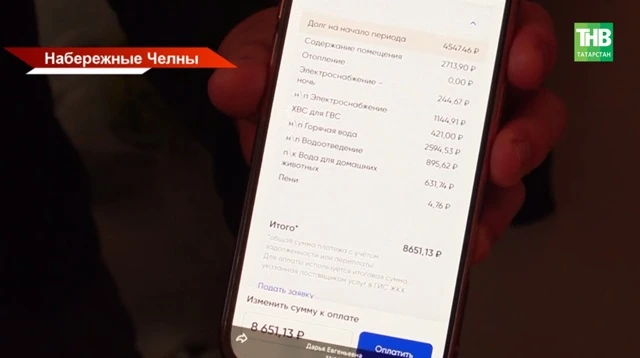 📢В Набережных Челнах разбираются, откуда в квитанциях взялась «Вода для домашних живот...