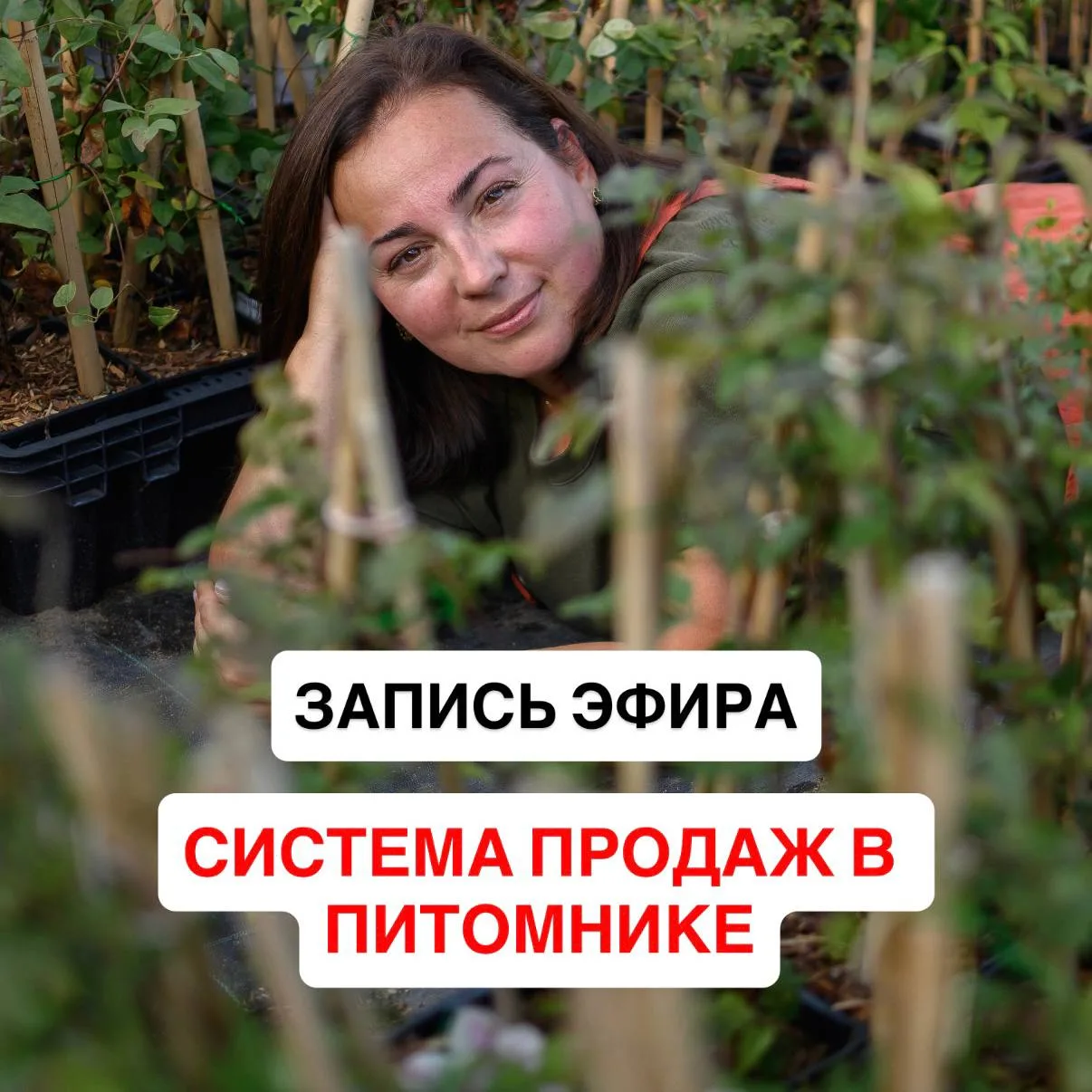 Многие думают, что продажа — это уговаривать и давить.