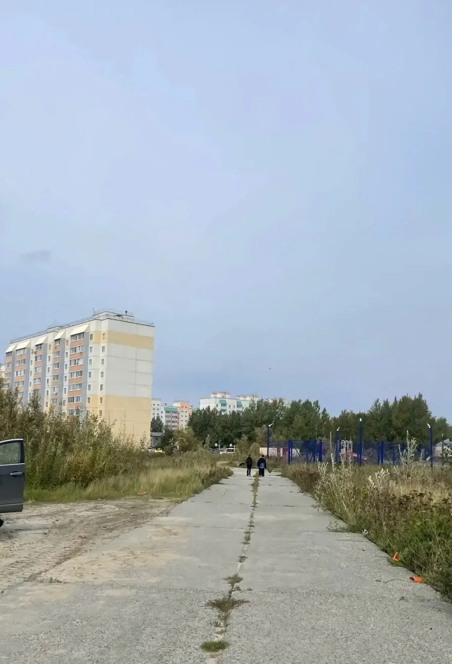 А еще очень хочется чтоб поставили хотя бы один фонарь по дорожке от школы к дому #16